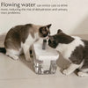 1.5L Automatic Cat Water Fountain | USB Powered, Ultra-Quiet, Smart Filtration for Cats & Small Dogs