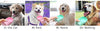 Portable Dog Water Bottle | Leakproof Walking Water Dispenser for Dogs & Cats | 300ml–550ml