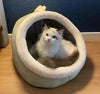 Deep Sleep Cat Bed | Foldable Washable Cave Bed for Cats & Small Dogs | 3 Sizes